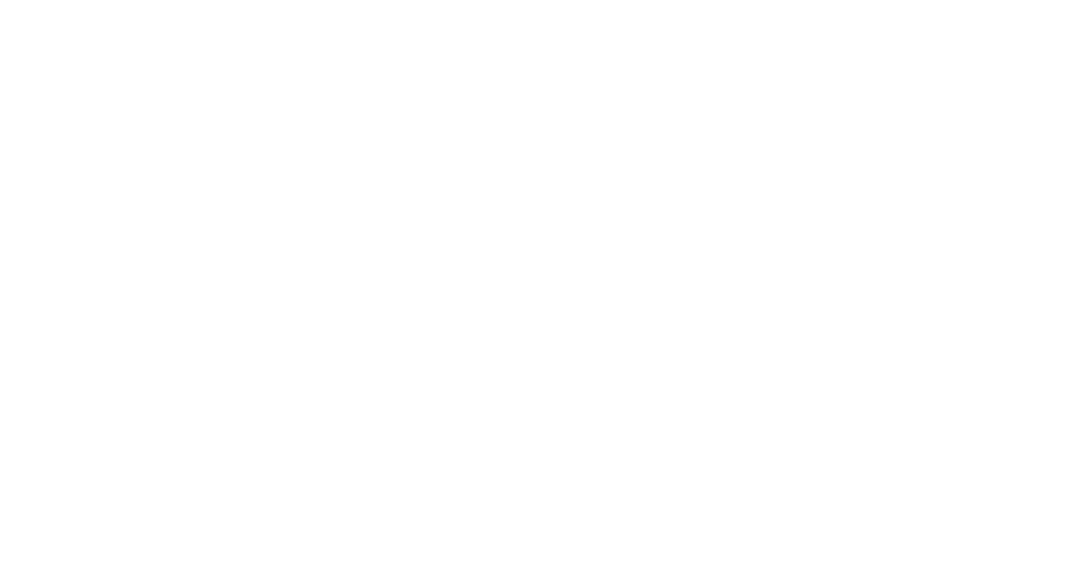 Jalyn Holmes’s signature